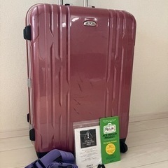 【決定しました】スーツケース　world traveler キャ...