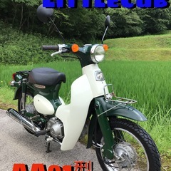 ホンダ　リトルカブ　セル付き4速　好調車！　HONDA