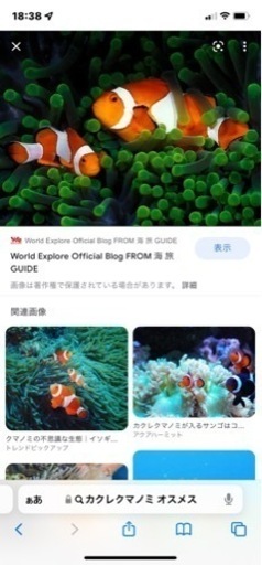 カクレクマノミ オスメス ナンヨウハギデバスズメダイ M A M A 沢ノ町のその他の中古あげます 譲ります ジモティーで不用品の処分
