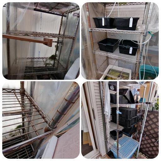 お値下げしました。お気軽るにお問い合わせください。メダカ飼育用品