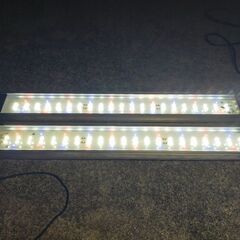 GEX クリアLED クリア LED POWER III 600...