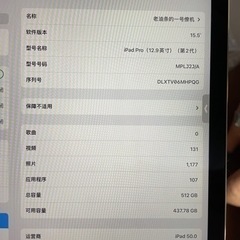iPadpro 2017 512gb cellular  スペースグレー