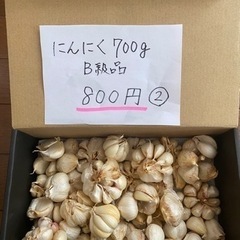 ニンニク　700グラムB級品②