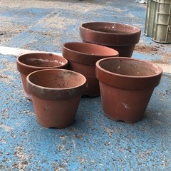 植木鉢　植物　園芸　陶器　ガーデニング　