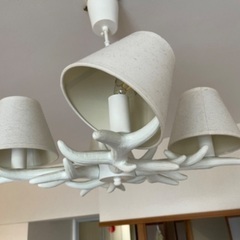 鹿の角のモチーフ照明、シャンデリア