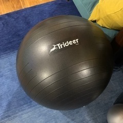  Trideerバランスボール黒Lサイズ