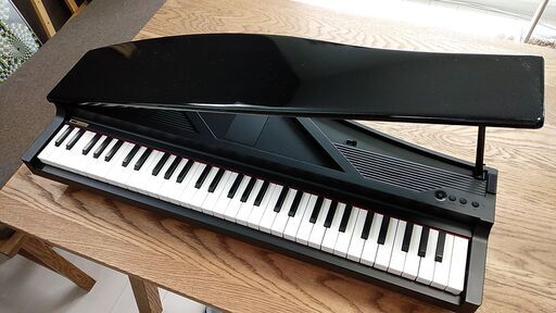 本格派!KORG 電子ピアノ microPIANO 2019年製 【取説なし・購入時専用
