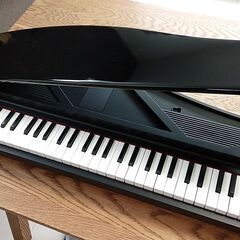 本格派！KORG　電子ピアノ　microPIANO　2019年製...