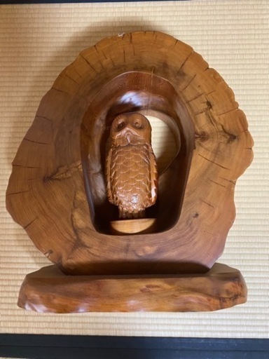 屋久杉