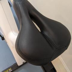 エアロバイク（スピンバイク1721）ALINCO 22年製 直接引取希望者のみ