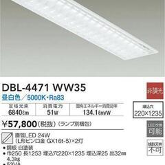 【ネット決済・配送可】LEDベースライト
大光電機 DBL447...