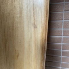 Firewire Greedy Beaver ＃4143733