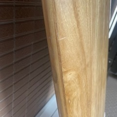 Firewire Greedy Beaver ＃4143733