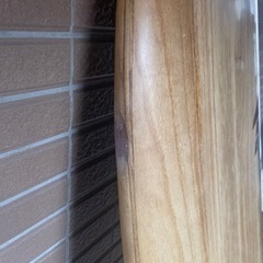 Firewire Greedy Beaver ＃4143733