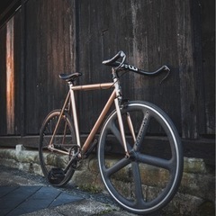 BROTURES LEADER®︎ ANGELINO