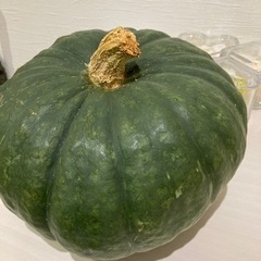 カボチャ　3.1kg