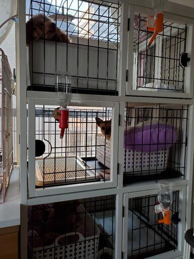 その他 木製3段ペットゲージ(犬用)