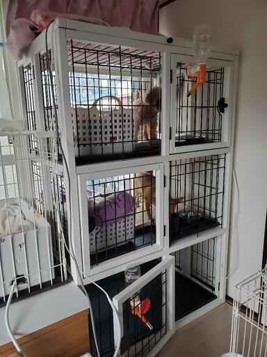 木製3段ペットゲージ(犬用)