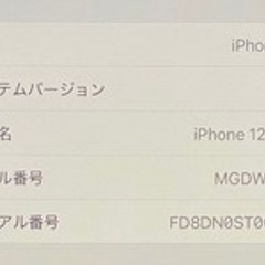【ほぼ新品】iPhone12 mini 256gb グリーン