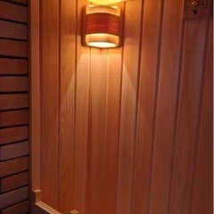 フィンランド　サウナ　家庭用