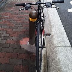 🚴フジ スパロウ