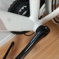 DE ROSA (FEDE) ロードバイク 白