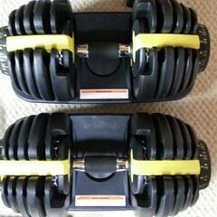 可変式 ダンベル 24㎏×2 計48㎏