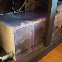 濾過槽(3層式) W800×D450×H300 オーバーフロー水槽用