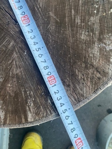 白樺切株 極太 丸太 値下げ