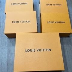 LV ショップ袋　空箱