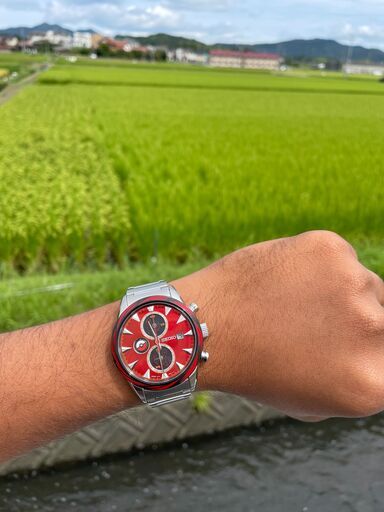 SEIKO×Pokemon リザードンモデル