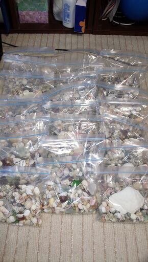 沖縄の貝殻&シーグラス ばら売りとセット割も www.inversionesczhn.com