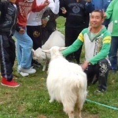 夏休み中の家庭教師