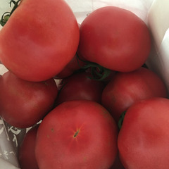 新鮮なトマトときゅうり