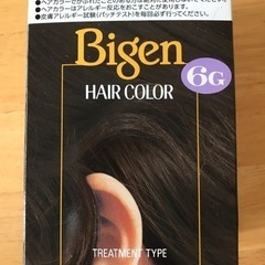 ビゲンヘアカラー(6G) 