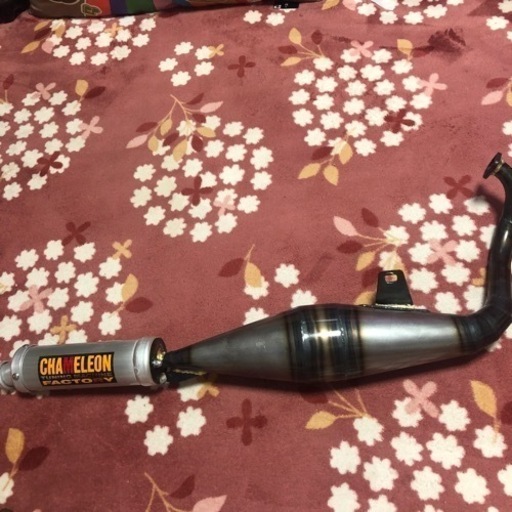 カメレオンファクトリーチャンバー w2-worldbuffet.co.uk