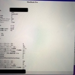 APPLE MacBook Pro  15.4インチMV922J/A