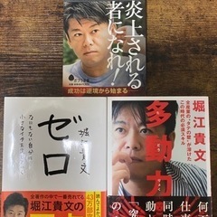 【ネット決済・配送可】堀江貴文の本3冊