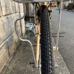 2007年モデルのパス