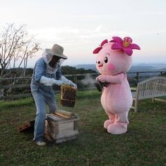 夏の養蜂・採蜜体験（+座学、里山散策、採れたてハチミツ試食会付き...