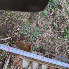 【再募集】スチール・ラダー🎉　大🎊