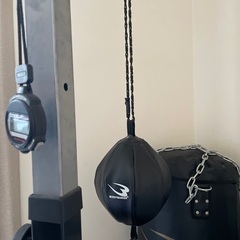 ボクシング サウンドバック