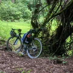 CEEPO stinger triathlon bike / road bike ロードバイク フルカーボン トライアスロン road bike stringer 