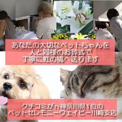 クチコミが神奈川県1位の高評価ペット葬儀社　ペットセレモニ…