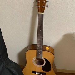 アコースティックギター、ギター