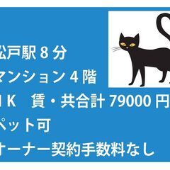JR松戸駅8分　マンション4階　1K　入居可能：令和4年8月20日　