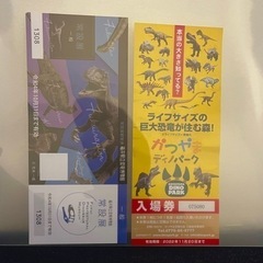 福井県立恐竜博物館 かつやまディノパーク チケット大人1枚