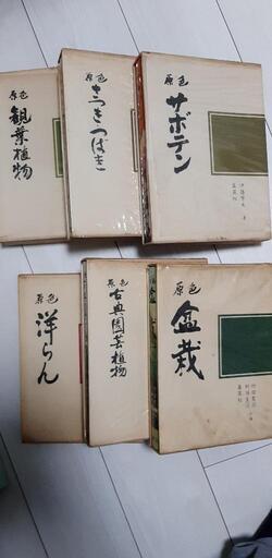 原色　サボテン　さつきつばき　観葉植物　盆栽　古典園芸植物　洋らん