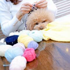愛犬と一緒にワンコニット編み物教室