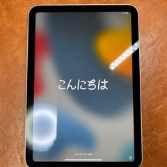 iPadmini6 Wi-Fiモデル 256GB スターライト ...
